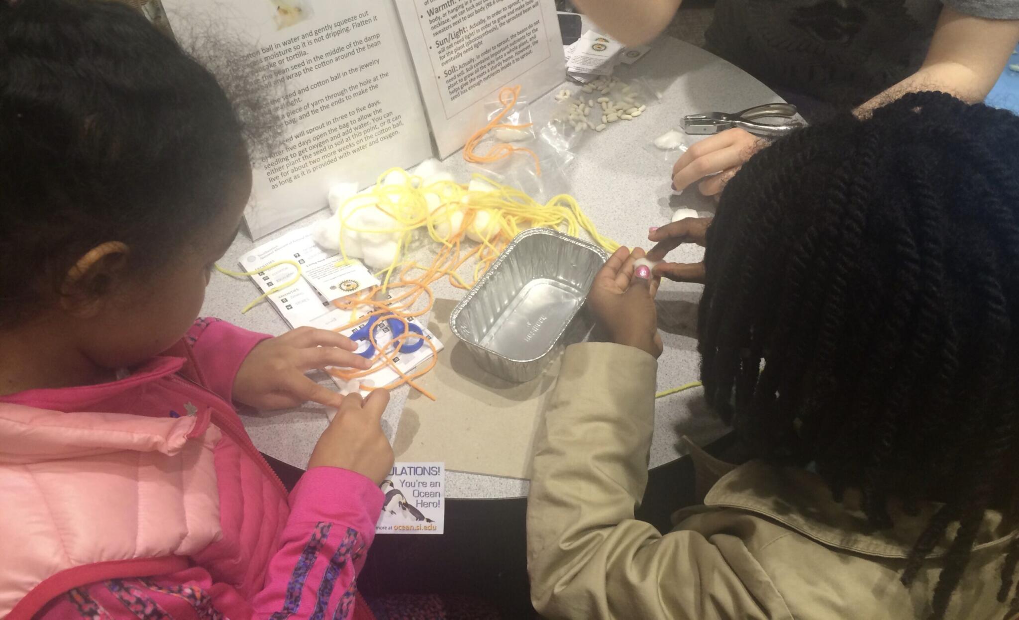 Planting STEM - Get Caught Engineering - STEM Resources for Teachers ...